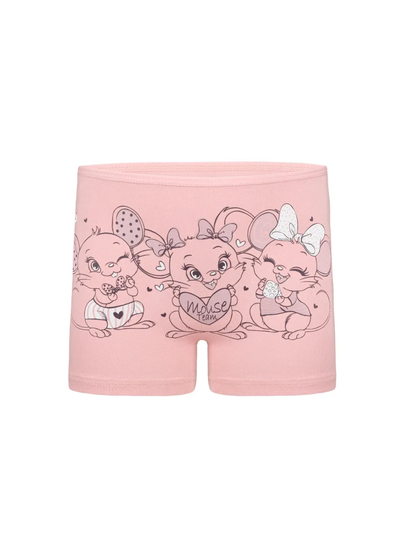 Donella 4271PB225 Assorted 10-Pack Girls' Briefs — Turkish textile wholesale