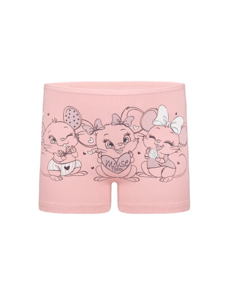 Donella 4271PB225 Assorted 10-Pack Girls' Briefs — Turkish textile wholesale