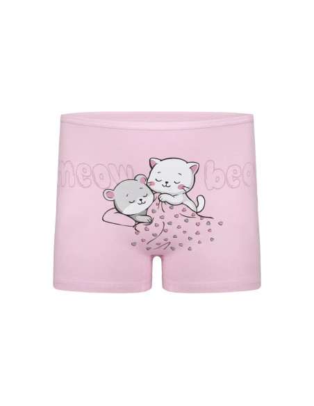 Donella 4271PB226 Assorted 10-Pack Girls' Briefs — Istanbul wholesale supplier
