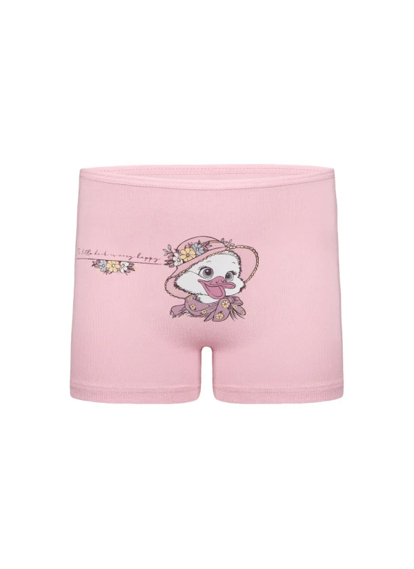 Donella 4271PB237 Assorted 10-Pack Girls' Briefs — wholesale for boutiques 2