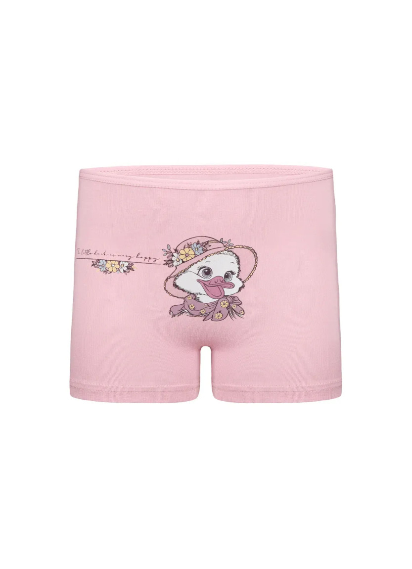 Donella 4271PB237 Assorted 10-Pack Girls' Briefs — Turkey wholesale collection