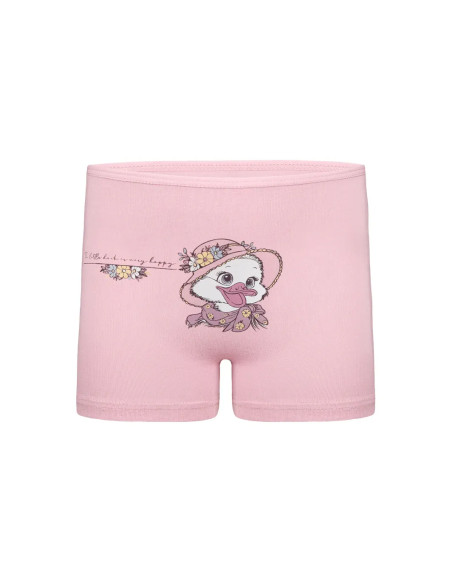 Donella 4271PB237 Assorted 10-Pack Girls' Briefs — Turkey wholesale collection