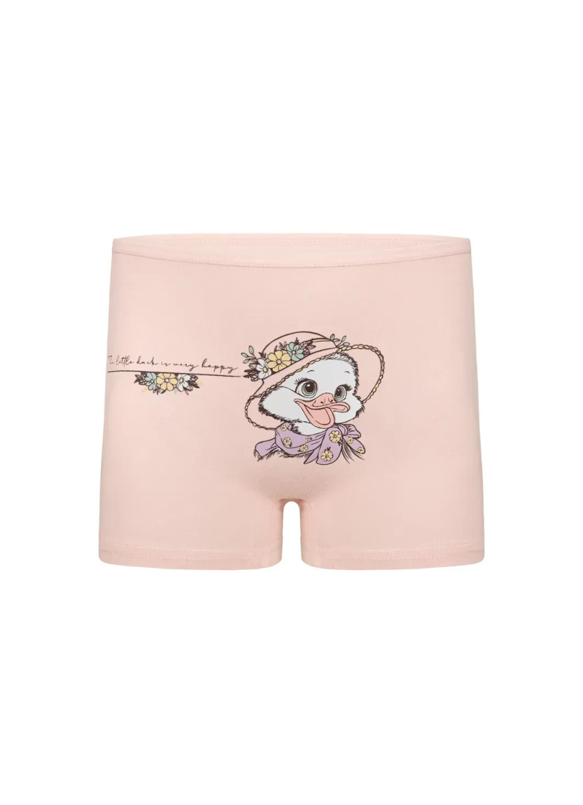 Donella 4271PB237 Assorted 10-Pack Girls' Briefs — Istanbul wholesale supplier