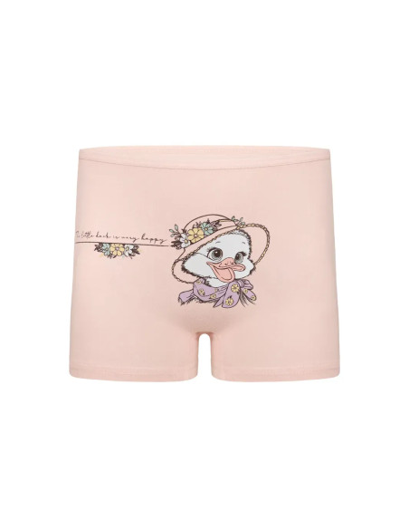 Donella 4271PB237 Assorted 10-Pack Girls' Briefs — Istanbul wholesale supplier