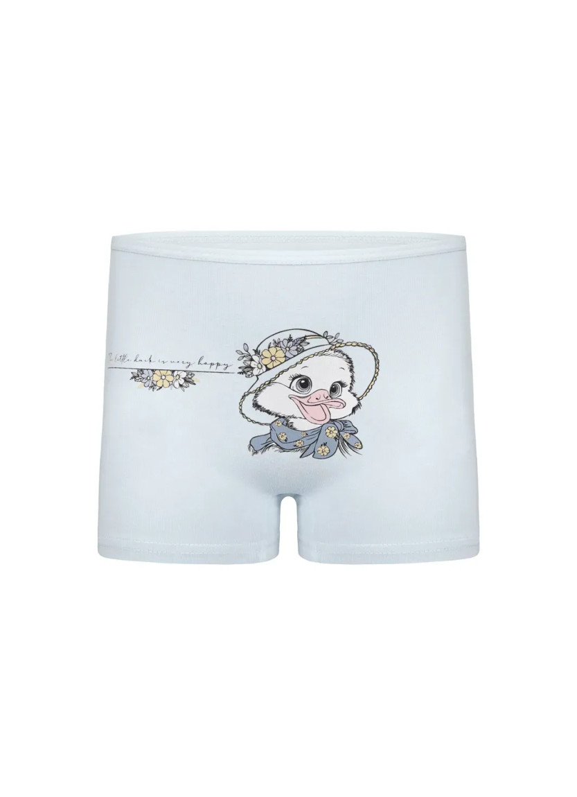 Donella 4271PB237 Assorted 10-Pack Girls' Briefs — wholesale for boutiques