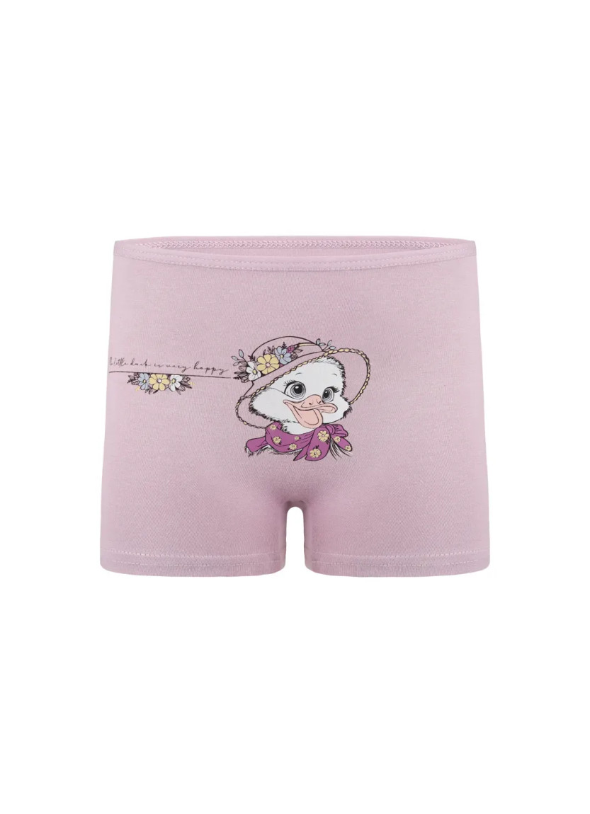 Donella 4271PB237 Assorted 10-Pack Girls' Briefs — Turkey wholesale collection