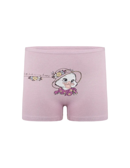 Donella 4271PB237 Assorted 10-Pack Girls' Briefs — Turkey wholesale collection