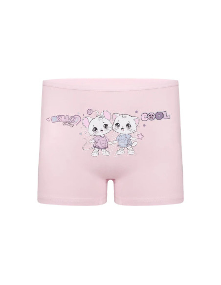Donella 4271PB239 Assorted 10-Pack Girls' Briefs — wholesale for boutiques