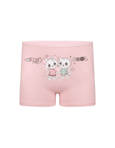 Donella 4271PB239 Assorted 10-Pack Girls' Briefs — Istanbul wholesale supplier