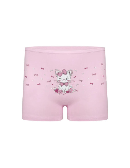 Donella 4271PB246 Assorted 10-Pack Girls' Briefs — Turkish textile wholesale