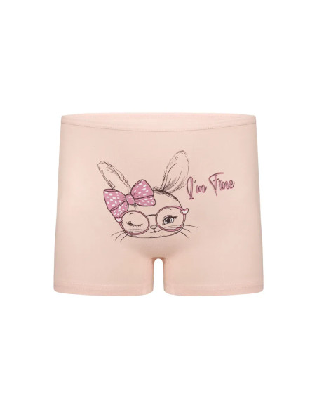 Donella 4271PB251 Assorted 10-Pack Girls' Briefs — wholesale for boutiques