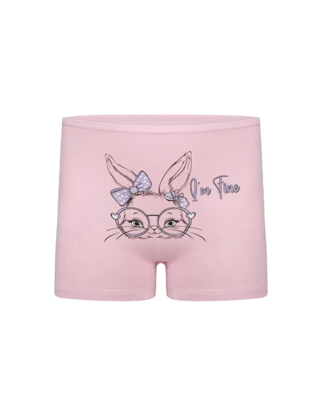 Donella 4271PB251 Assorted 10-Pack Girls' Briefs — Turkey wholesale collection