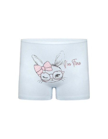Donella 4271PB251 Assorted 10-Pack Girls' Briefs — Turkish factory wholesale