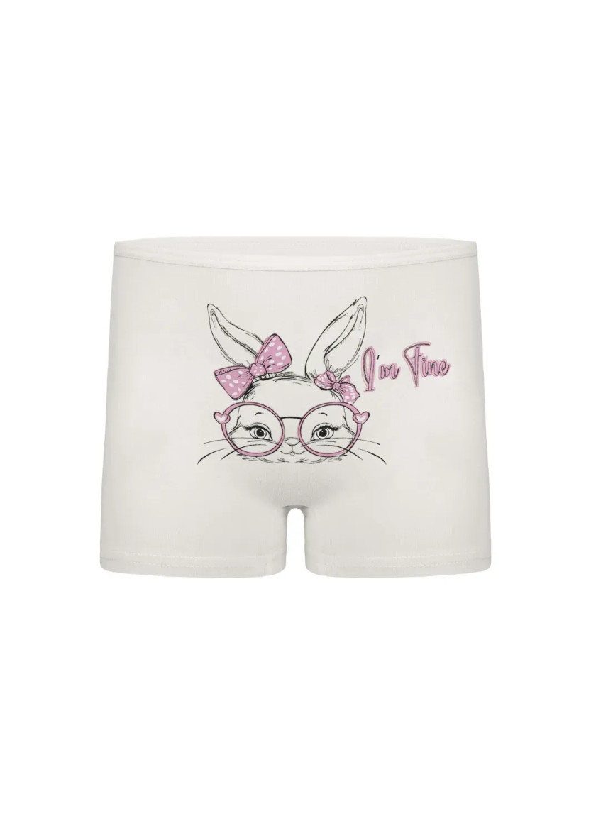 Donella 4271PB251 Assorted 10-Pack Girls' Briefs — Istanbul wholesale supplier