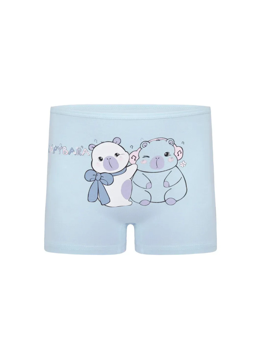 Donella 4271PB252 Assorted 10-Pack Girls' Briefs — Turkish textile wholesale