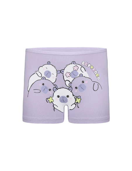 Donella 4271PB252 Assorted 10-Pack Girls' Briefs — direct Turkish factory supply