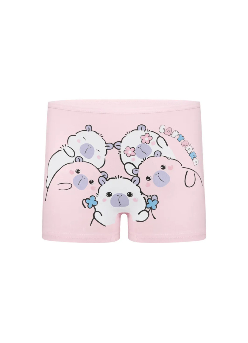 Donella 4271PB252 Assorted 10-Pack Girls' Briefs — wholesale from Turkey