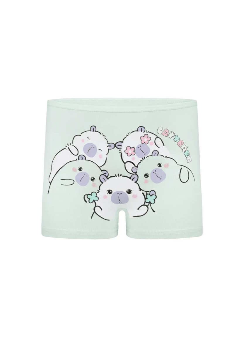 Donella 4271PB252 Assorted 10-Pack Girls' Briefs — factory-direct from Turkey