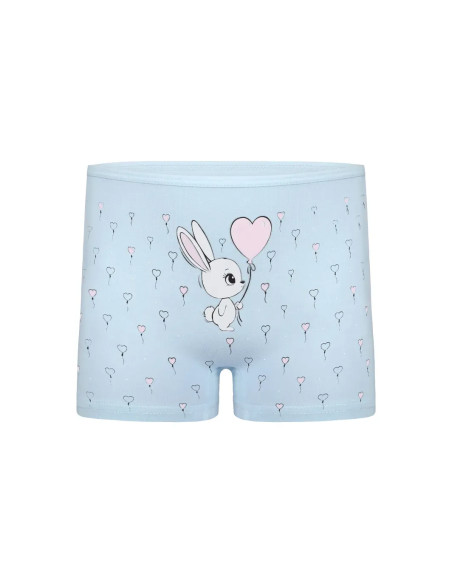 Donella 4271PB253 Assorted 10-Pack Girls' Briefs — Istanbul wholesale supplier