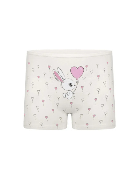 Donella 4271PB253 Assorted 10-Pack Girls' Briefs — Turkish factory wholesale