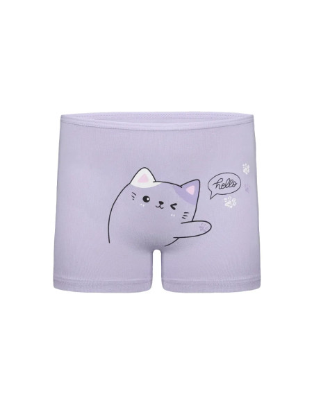 Donella 4271PB254 Assorted 10-Pack Girls' Briefs — Turkish textile wholesale