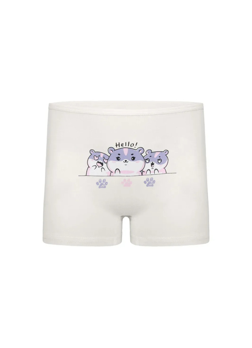 Donella 4271PB254 Assorted 10-Pack Girls' Briefs — direct Turkish factory supply