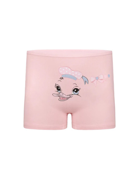 Donella 4271PB257 Assorted 10-Pack Girls' Briefs — wholesale for boutiques
