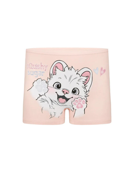 Donella 4271PB273 Assorted 10-Pack Girls' Briefs — Istanbul wholesale supplier