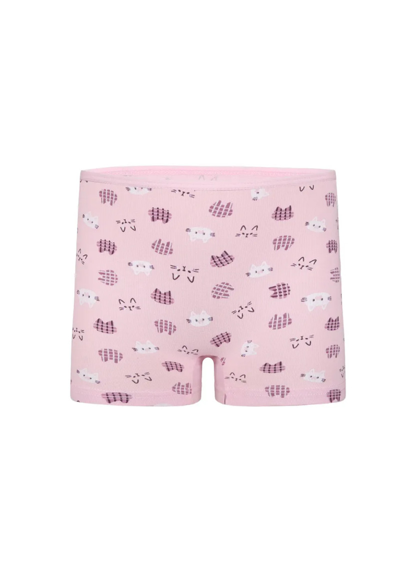 Donella 428129 Assorted 10-Pack Girls' Briefs — Istanbul wholesale supplier