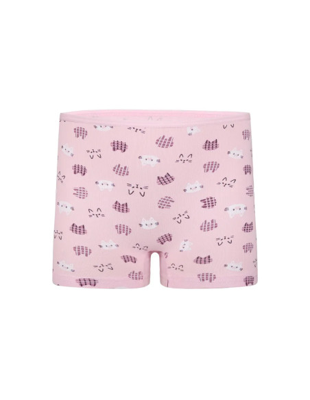 Donella 428129 Assorted 10-Pack Girls' Briefs — Istanbul wholesale supplier