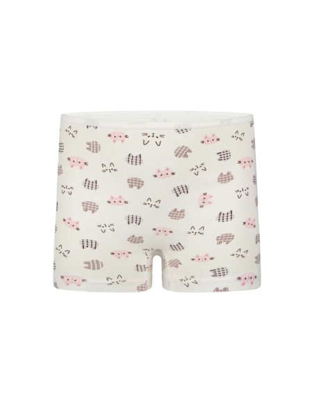 Donella 428129 Assorted 10-Pack Girls' Briefs — Turkish factory wholesale