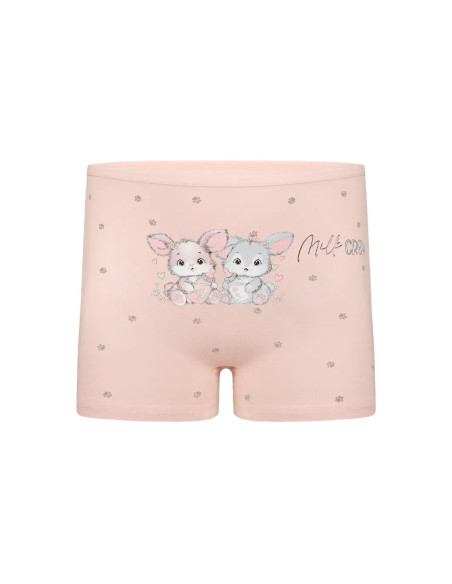 Donella 4281B43 Assorted 10-Pack Girls' Briefs — factory-direct from Turkey