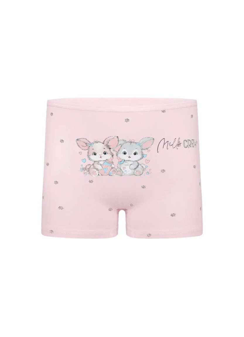 Donella 4281B43 Assorted 10-Pack Girls' Briefs — Turkish textile wholesale