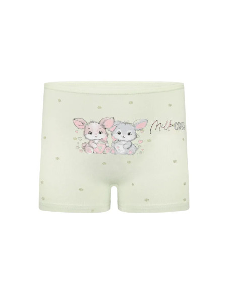 Donella 4281B43 Assorted 10-Pack Girls' Briefs — direct Turkish factory supply