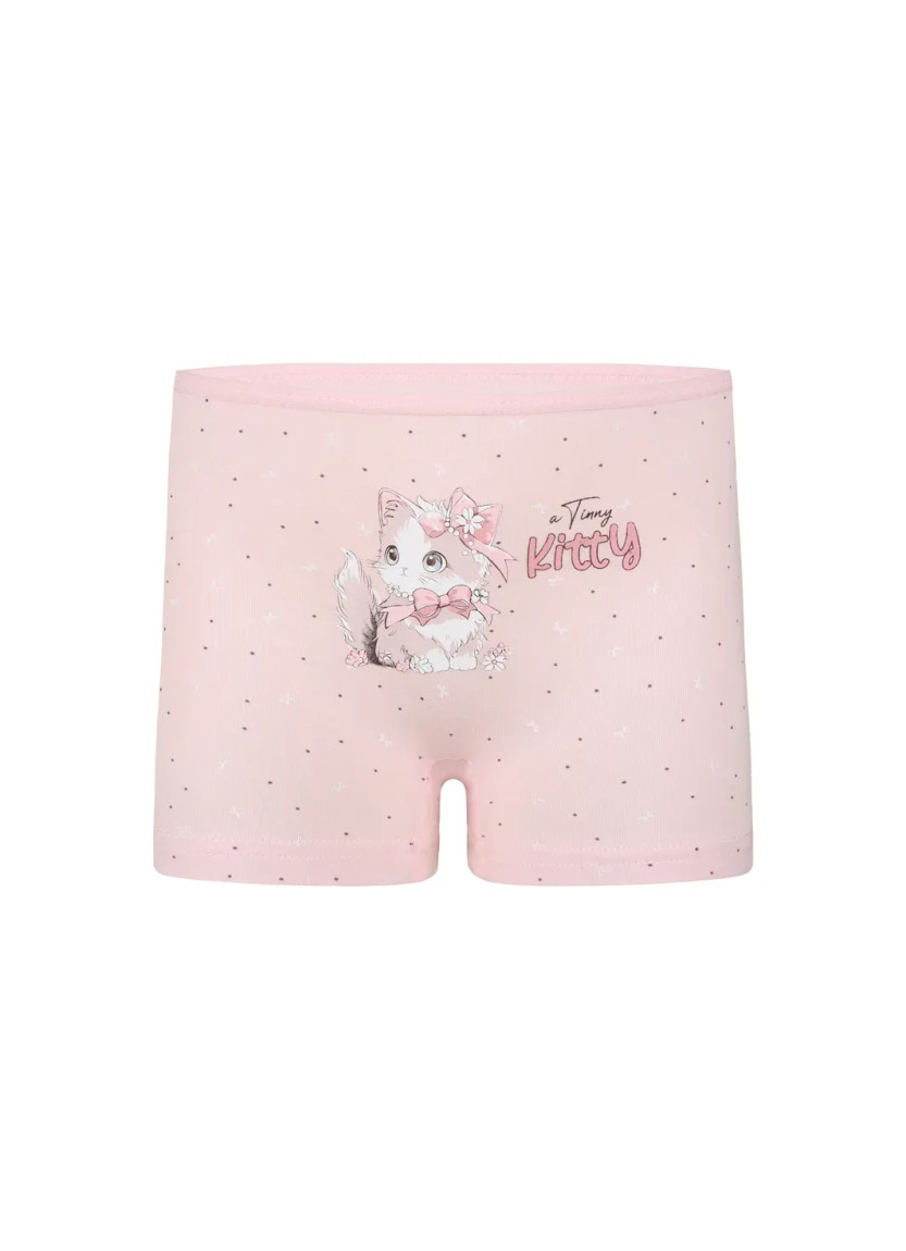 Donella 4281B48 Assorted 10-Pack Girls' Briefs — Turkish factory wholesale