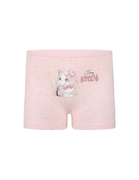 Donella 4281B48 Assorted 10-Pack Girls' Briefs — Turkish factory wholesale