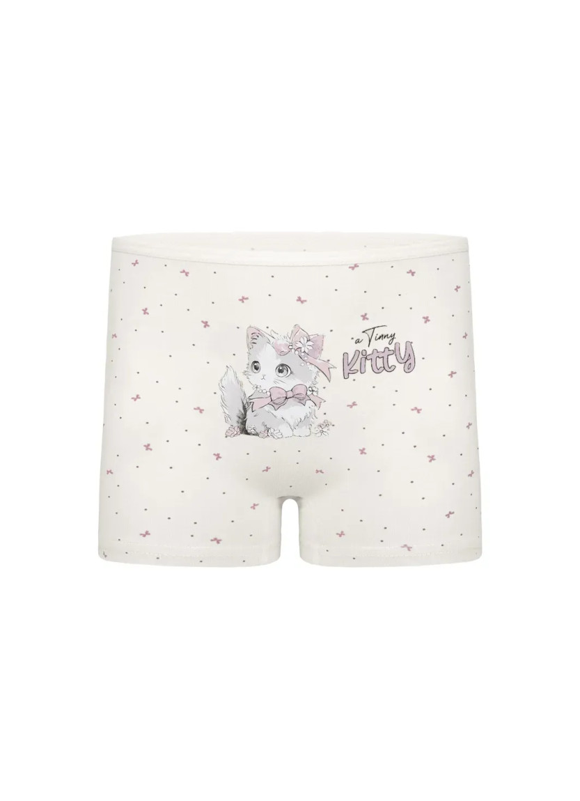 Donella 4281B48 Assorted 10-Pack Girls' Briefs — Istanbul wholesale supplier