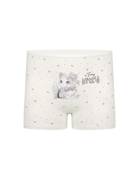 Donella 4281B48 Assorted 10-Pack Girls' Briefs — Istanbul wholesale supplier