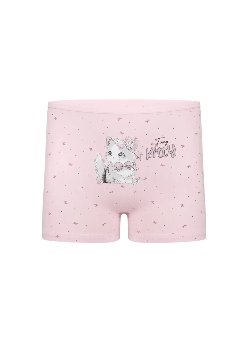 Donella 4281B48 Assorted 10-Pack Girls' Briefs — wholesale for boutiques