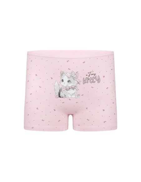 Donella 4281B48 Assorted 10-Pack Girls' Briefs — wholesale for boutiques