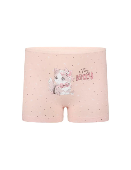 Donella 4281B48 Assorted 10-Pack Girls' Briefs — Turkish factory wholesale