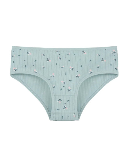 Donella 501301 Assorted 10-Pack Girls' Briefs — factory-direct from Turkey