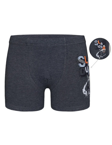 Трусы Боксеры для Мальчиков Boxer (Ассорти) 10 шт/уп Donella 7524B4 — купить оптом со Стамбула