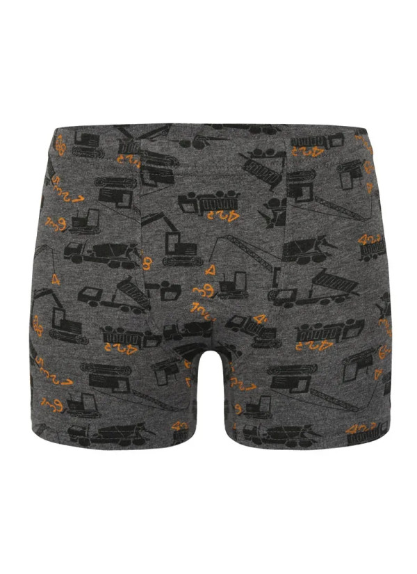 Трусы Боксеры для Мальчиков Boxer (Ассорти) 10 шт/уп Donella 758122 — турецкий текстиль оптом 2