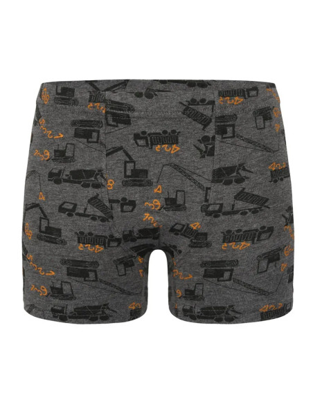 Трусы Боксеры для Мальчиков Boxer (Ассорти) 10 шт/уп Donella 758122 — оптом для магазинов и бутиков
