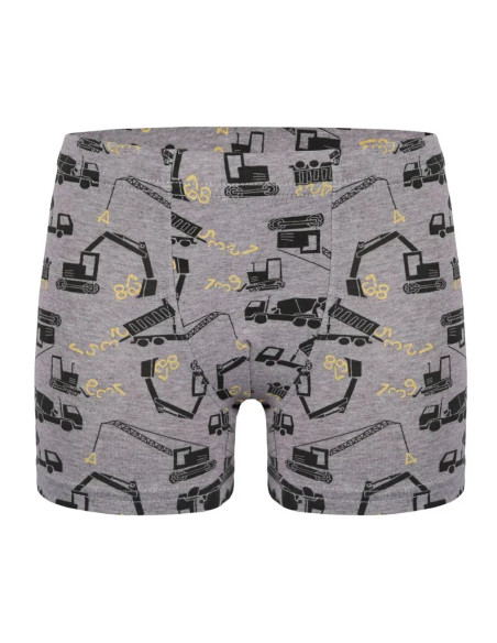 Donella 758122 Assorted 10-Pack Boys' Boxer Briefs — Turkish textile wholesale