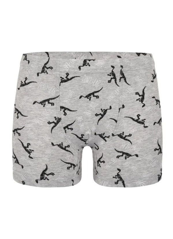 Трусы Боксеры для Мальчиков Boxer (Ассорти) 10 шт/уп Donella 758130 — купить оптом со Стамбула 2