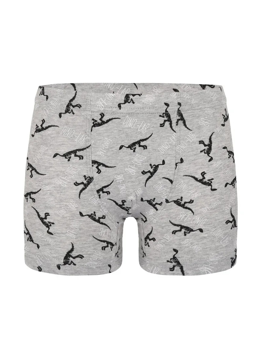 Трусы Боксеры для Мальчиков Boxer (Ассорти) 10 шт/уп Donella 758130 — фабричная коллекция оптом