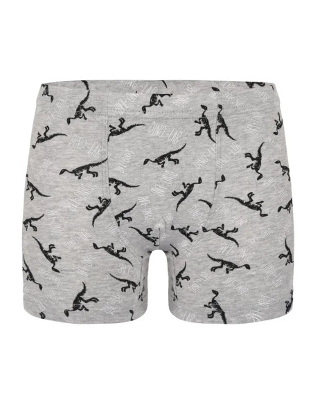 Donella 758130 Assorted 10-Pack Boys' Boxer Briefs — wholesale for boutiques