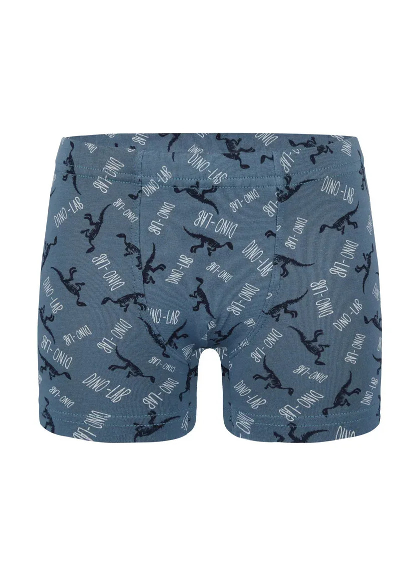 Трусы Боксеры для Мальчиков Boxer (Ассорти) 10 шт/уп Donella 758130 — прямые поставки из Турции